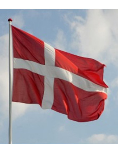 Dannebrogsflag til 6m flagstang