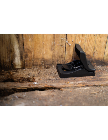 Musefælde i plast - Powercat 2 stk