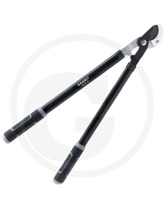 Grensaks til tørre grene