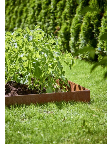Bedkanter cortenstål 4-pak rust