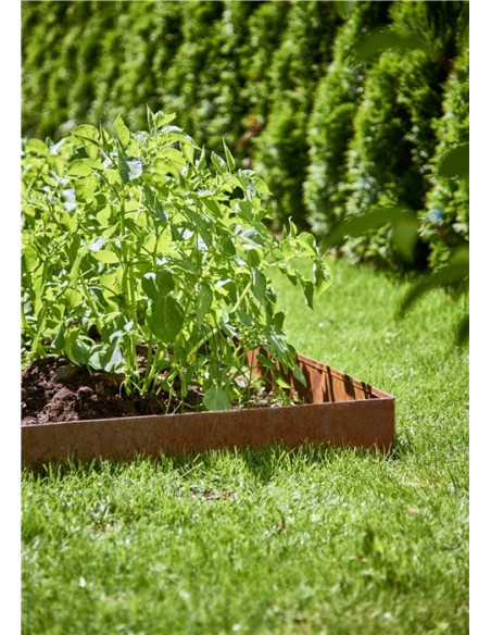 Bedkanter cortenstål 4-pak rust