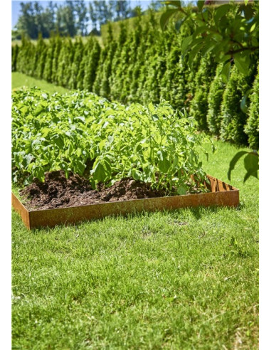 Bedkanter cortenstål 4-pak rust