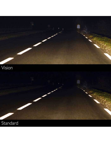 H4 VISION bilpære 12V 60/55 W