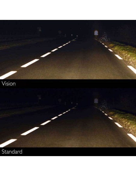 H4 VISION bilpære 12V 60/55 W