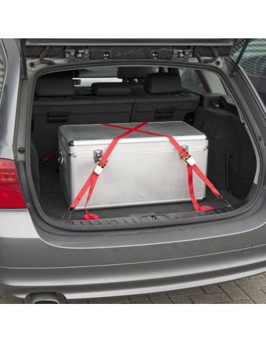 Bagageremme og surringssæt med 8 dele