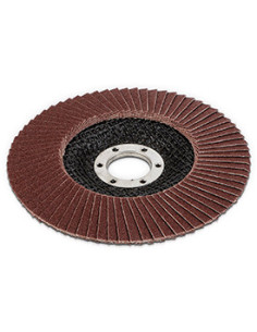 Flapskive Ø 125 mm